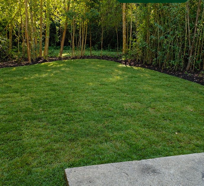 Jardín después de instalar pasto en rollo