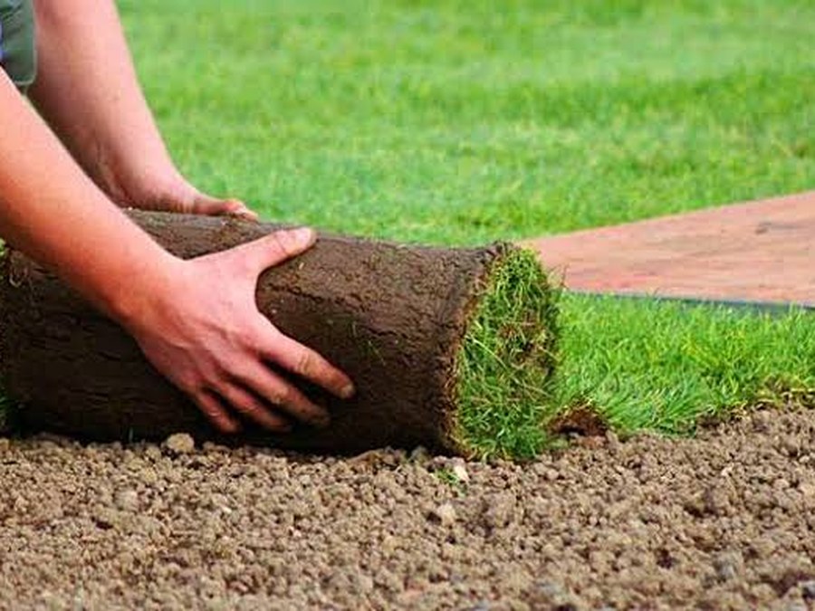 Instalación de pasto en rollo residencial